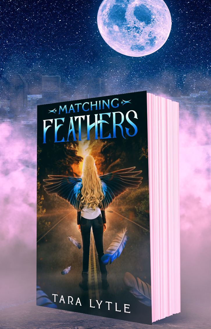 Matching Feathers (Paperback #1)