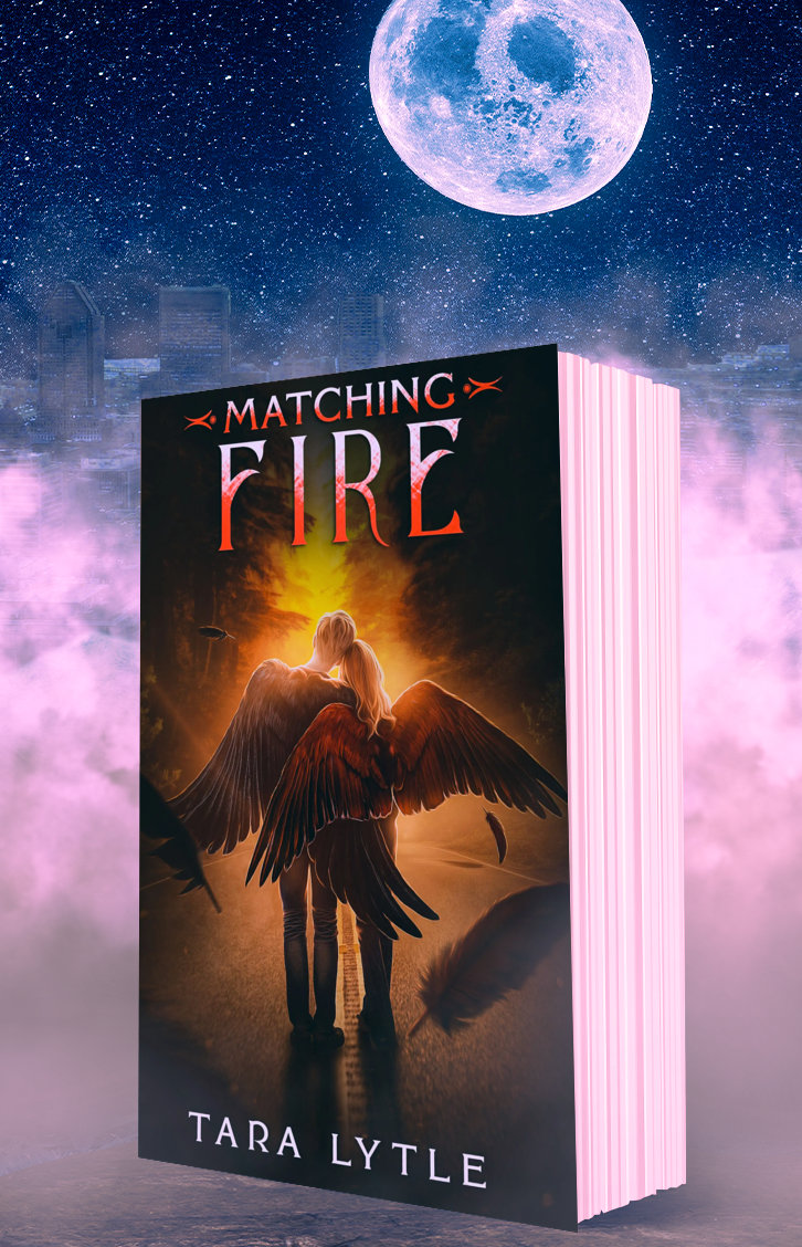 Matching Fire (Paperback #3)